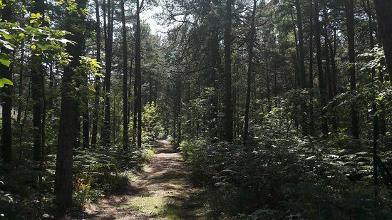Wieża widokowa w Juracie